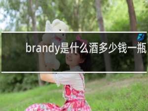 brandy是什么酒多少钱一瓶