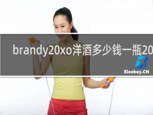 brandy xo洋酒多少钱一瓶2020