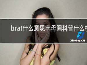 brat什么意思字母圈科普什么梗