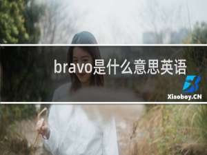 bravo是什么意思英语，是不是好极了什么梗