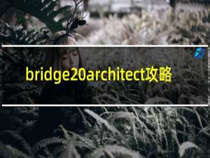 bridge architect攻略