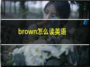 brown怎么读英语