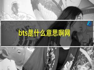 bts是什么意思啊网络（bts是什么意思）