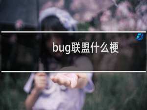 bug联盟什么梗