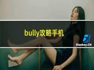 bully攻略手机