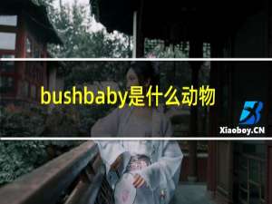 bushbaby是什么动物