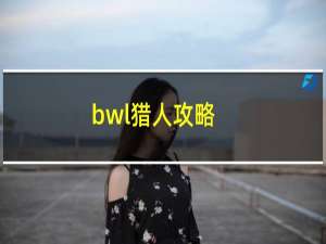 bwl猎人攻略