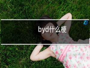 byd什么梗