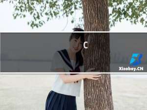 c#要怎么学