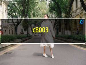 c8003（c800）