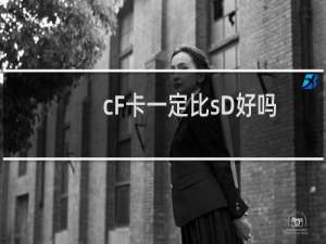 cF卡一定比sD好吗