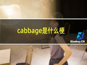 cabbage是什么梗