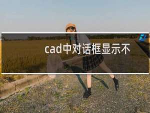 cad中对话框显示不出来怎么设置（cad打开对话框不见了）