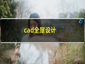 cad全屋设计