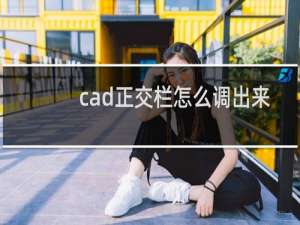 cad正交栏怎么调出来