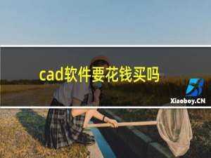 cad软件要花钱买吗