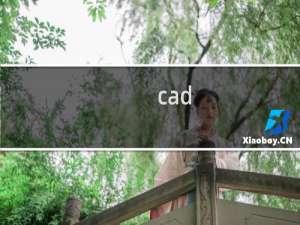 cad photoshop 哪个