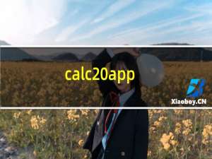 calc app（calc exe）