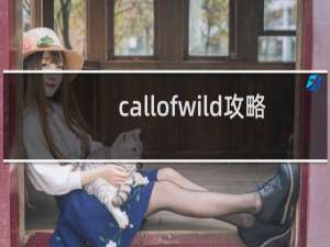 callofwild攻略