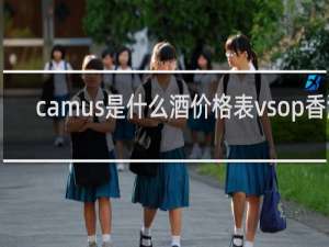 camus是什么酒价格表vsop香港