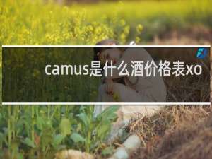 camus是什么酒价格表xo