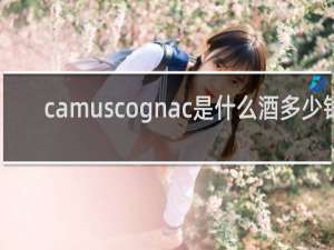 camuscognac是什么酒多少钱