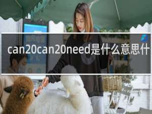 can can need是什么意思什么梗
