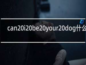 can i be your dog什么梗