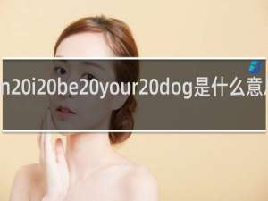 can i be your dog是什么意思什么梗