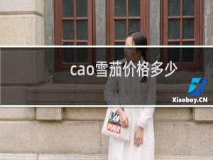 cao雪茄价格多少