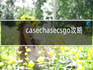 casechasecsgo攻略
