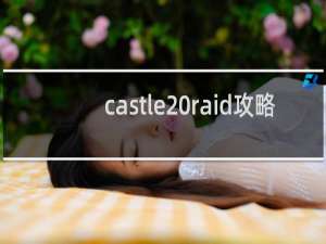 castle raid攻略