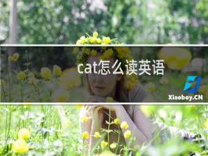 cat怎么读英语