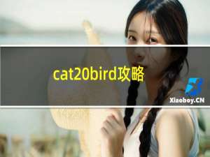 cat bird攻略