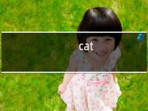 cat vim 区别