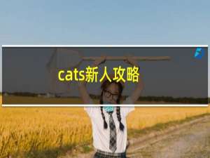 cats新人攻略