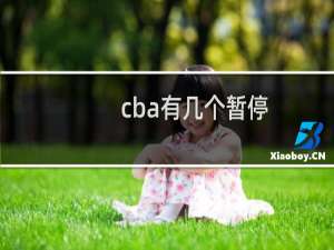 cba有几个暂停