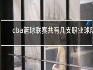 cba篮球联赛共有几支职业球队