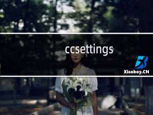 ccsettings怎么设置?设置使用方法教程