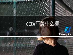 cctv厂牌什么梗