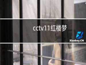 cctv11红楼梦
