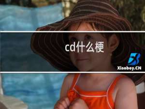 cd什么梗