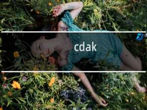 cdak.cn备案因业务需要需更改，请求在变更期间不暂停接入