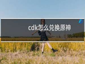 cdk怎么兑换原神