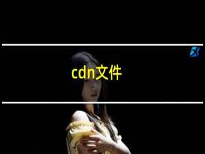 cdn文件