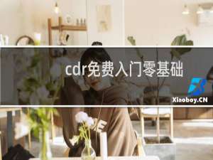 cdr免费入门零基础教程（cdr13）