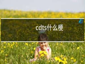 cdts什么梗