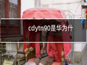 cdytn90是华为什么型号手机