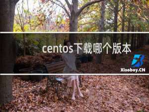 centos下载哪个版本