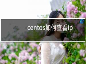 centos如何查看ip